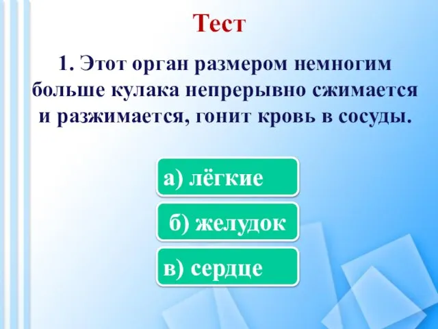 Тест 1. Этот орган размером немногим больше кулака непрерывно сжимается и разжимается,