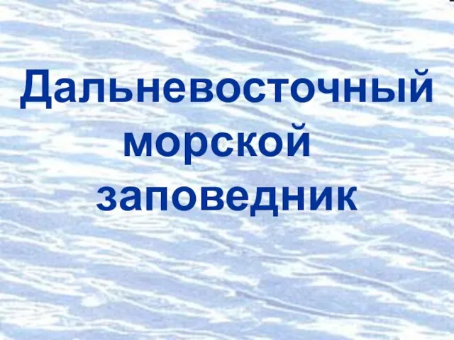 Дальневосточный морской заповедник