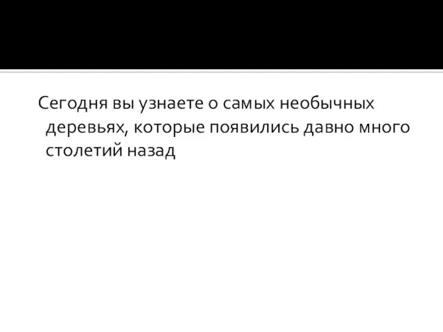 Сегодня вы узнаете о самых необычных деревьях, которые появились давно много столетий назад