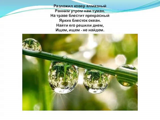 Разложил ковер алмазный Ранним утром нам туман. На траве блестит прекрасный Ярких