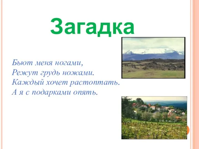 Бьют меня ногами, Режут грудь ножами. Каждый хочет растоптать. А я с подарками опять. Загадка