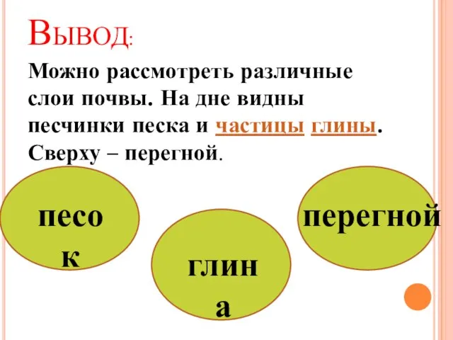 Вывод: Можно рассмотреть различные слои почвы. На дне видны песчинки песка и