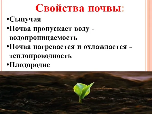 Свойства почвы: Сыпучая Почва пропускает воду - водопроницаемость Почва нагревается и охлаждается -теплопроводность Плодородие