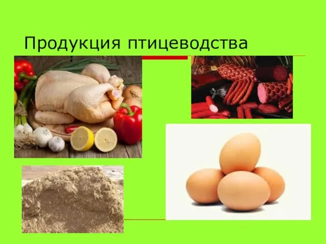 Продукция птицеводства