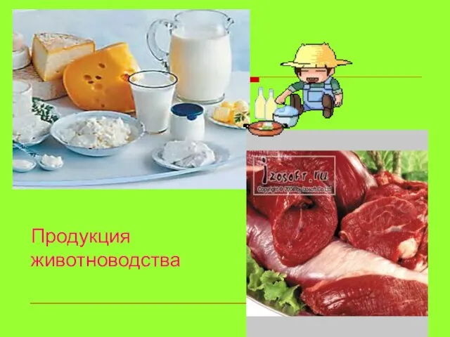 Продукция животноводства