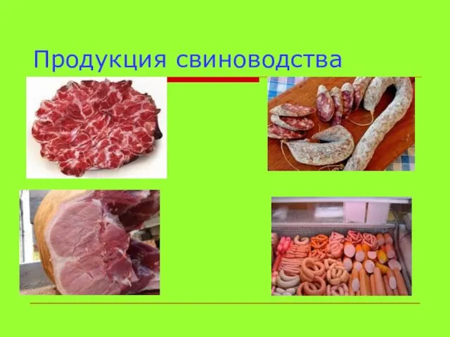 Продукция свиноводства