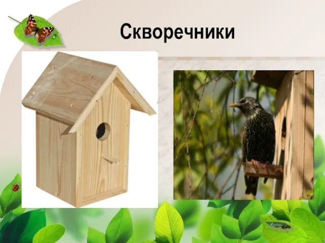 Скворечники