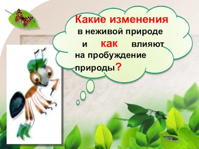 Какие изменения в неживой природе и как влияют на пробуждение природы?