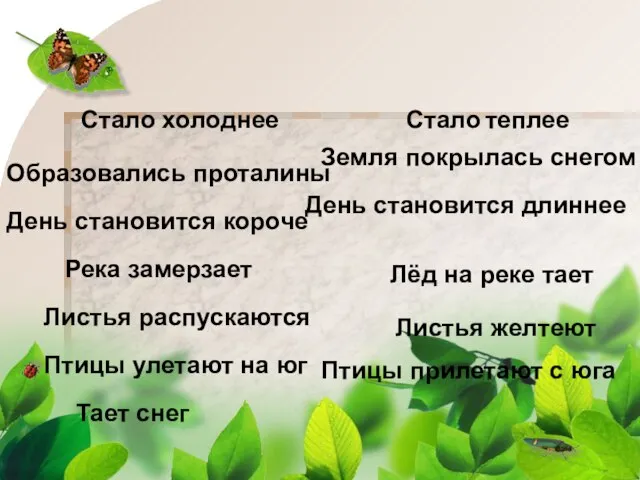 Стало холоднее Стало теплее Образовались проталины Земля покрылась снегом День становится короче