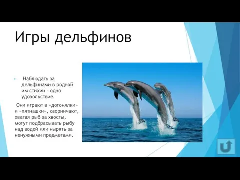 Игры дельфинов Наблюдать за дельфинами в родной им стихии – одно удовольствие.