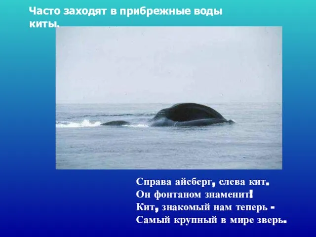 Справа айсберг, слева кит. Он фонтаном знаменит! Кит, знакомый нам теперь -