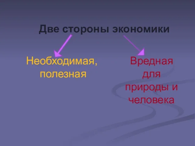 Две стороны экономики Необходимая, полезная Вредная для природы и человека