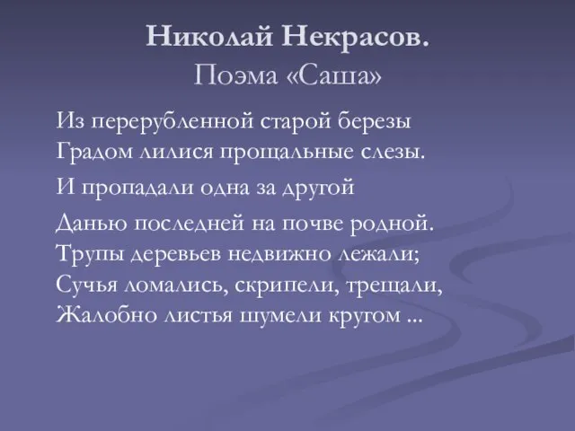 Николай Некрасов. Поэма «Саша» Из перерубленной старой березы Градом лилися прощальные слезы.