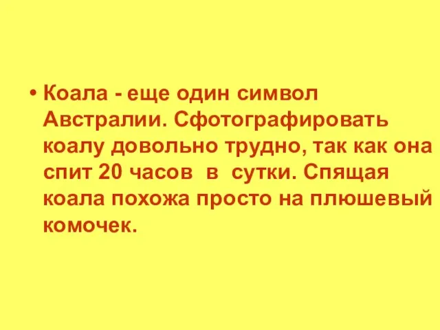 Коала - еще один символ Австралии. Сфотографировать коалу довольно трудно, так как