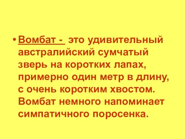 Вомбат - это удивительный австралийский сумчатый зверь на коротких лапах, примерно один