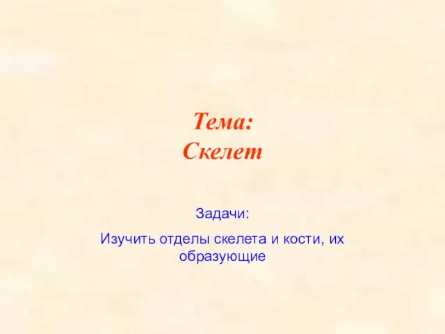 Презентация на тему Строение скелета человека (4 класс)