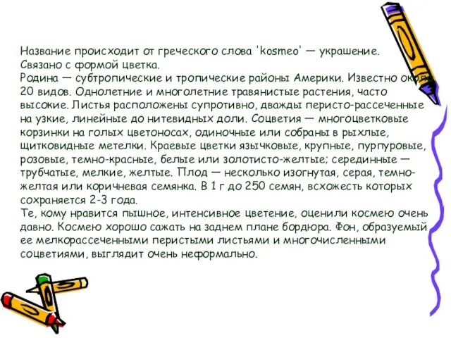 Название происходит от греческого слова 'kosmeo' — украшение. Связано с формой цветка.