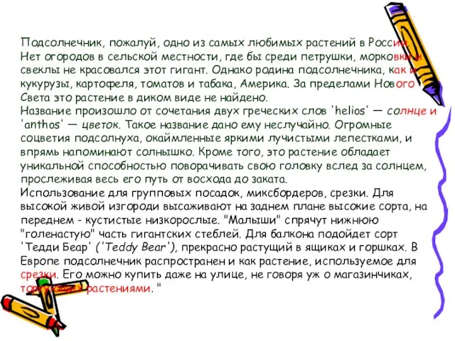 Подсолнечник, пожалуй, одно из самых любимых растений в России. Нет огородов в