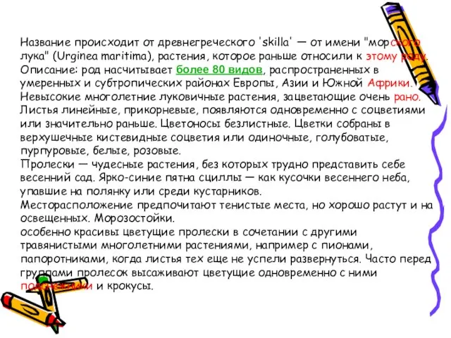 Название происходит от древнегреческого 'skilla' — от имени "морского лука" (Urginea maritima),