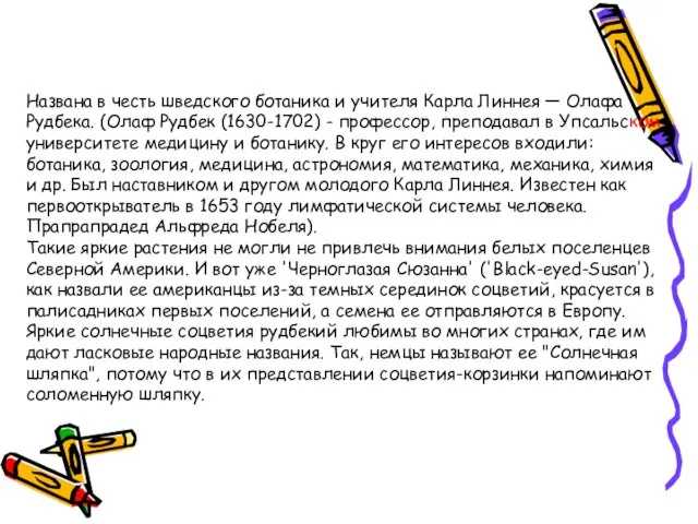 Названа в честь шведского ботаника и учителя Карла Линнея — Олафа Рудбека.