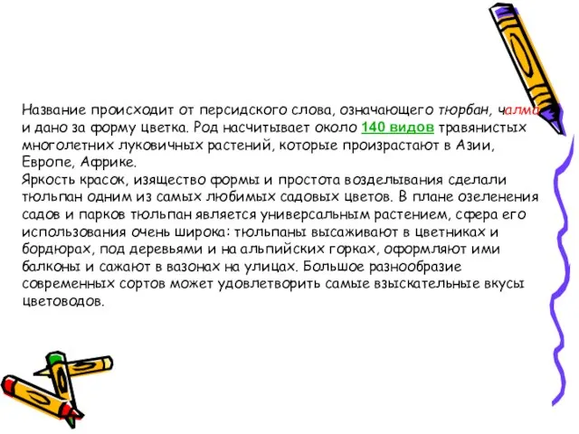 Название происходит от персидского слова, означающего тюрбан, чалма и дано за форму