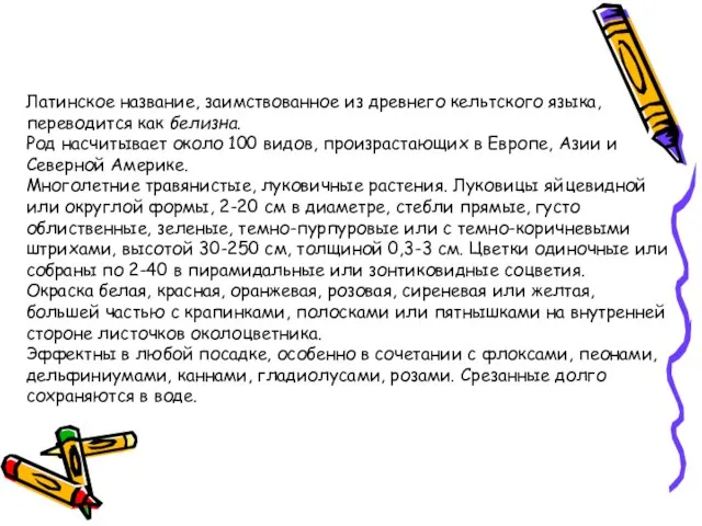 Латинское название, заимствованное из древнего кельтского языка, переводится как белизна. Род насчитывает