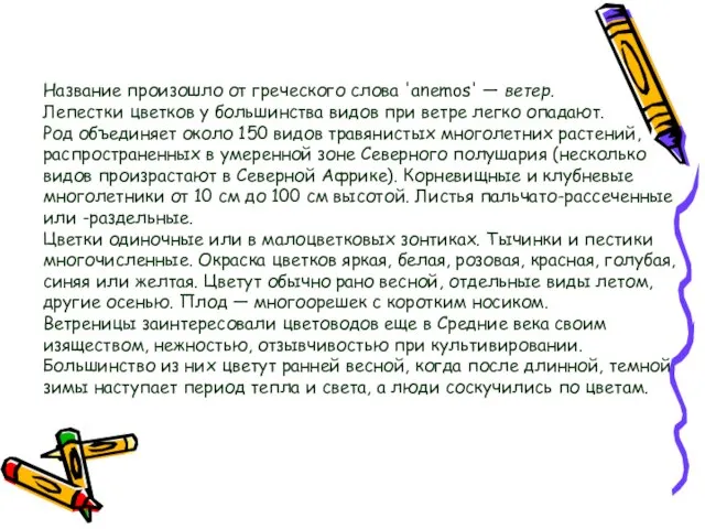 Название произошло от греческого слова 'anemos' — ветер. Лепестки цветков у большинства