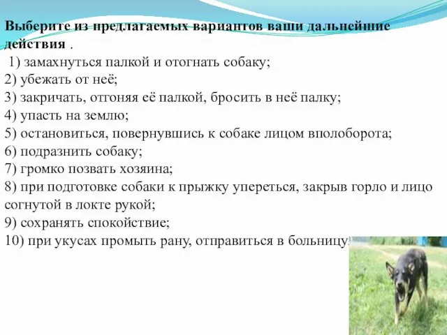 Выберите из предлагаемых вариантов ваши дальнейшие действия . 1) замахнуться палкой и