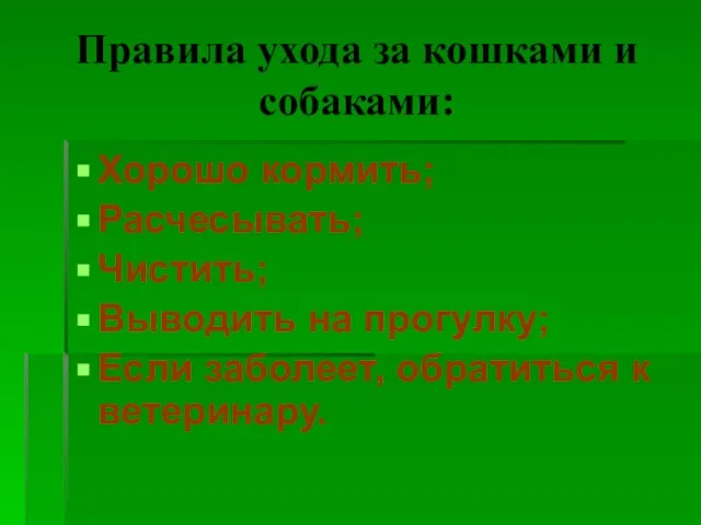 Правила ухода за кошками и собаками: Хорошо кормить; Расчесывать; Чистить; Выводить на