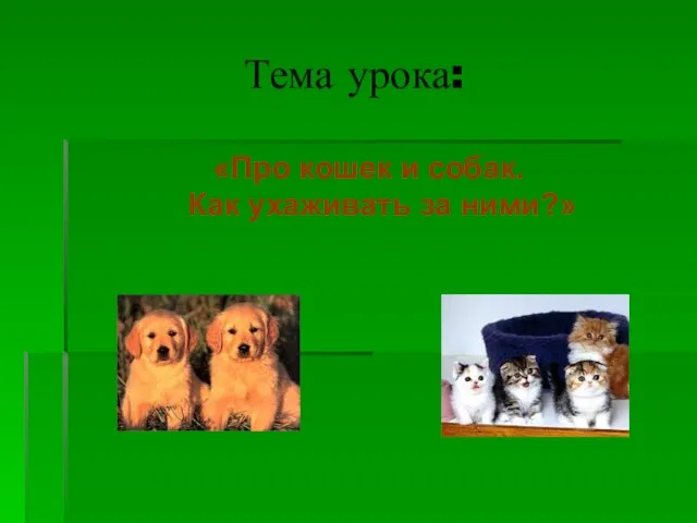 «Про кошек и собак. Как ухаживать за ними?» Тема урока: