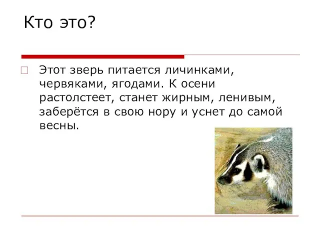 Кто это? Этот зверь питается личинками, червяками, ягодами. К осени растолстеет, станет