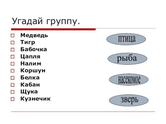 Угадай группу. Медведь Тигр Бабочка Цапля Налим Коршун Белка Кабан Щука Кузнечик