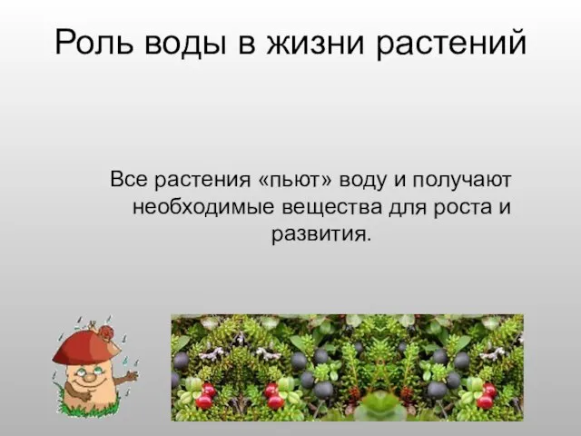 Роль воды в жизни растений Все растения «пьют» воду и получают необходимые