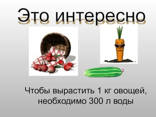 Чтобы вырастить 1 кг овощей, необходимо 300 л воды Это интересно