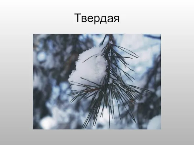 Твердая