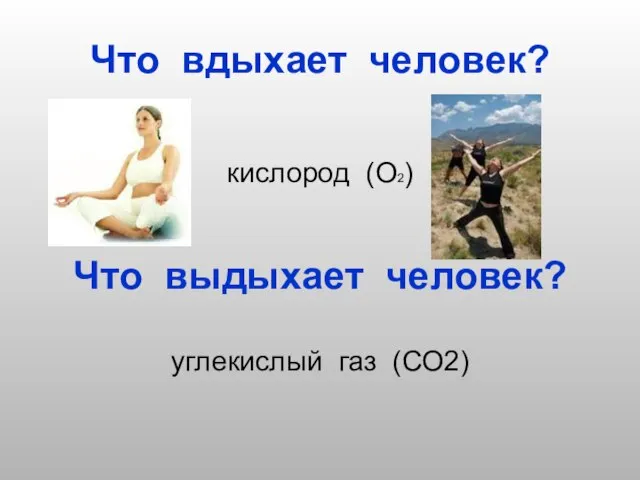 Что вдыхает человек? кислород (О2) Что выдыхает человек? углекислый газ (СО2)