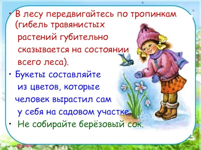 В лесу передвигайтесь по тропинкам (гибель травянистых растений губительно сказывается на состоянии