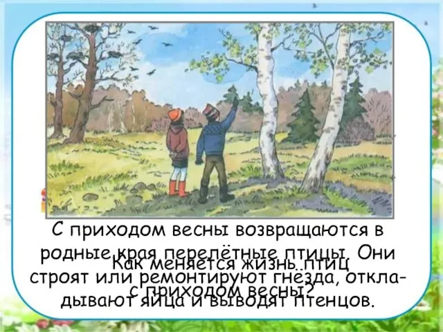 Работа в парах. Как меняется жизнь птиц с приходом весны? С приходом