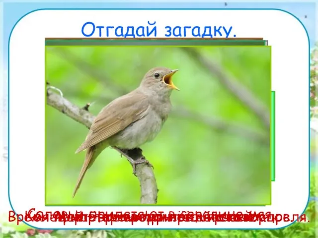 Отгадай загадку. Всех перелетных птиц черней, Чистит пашню от червей. Взад-вперёд по