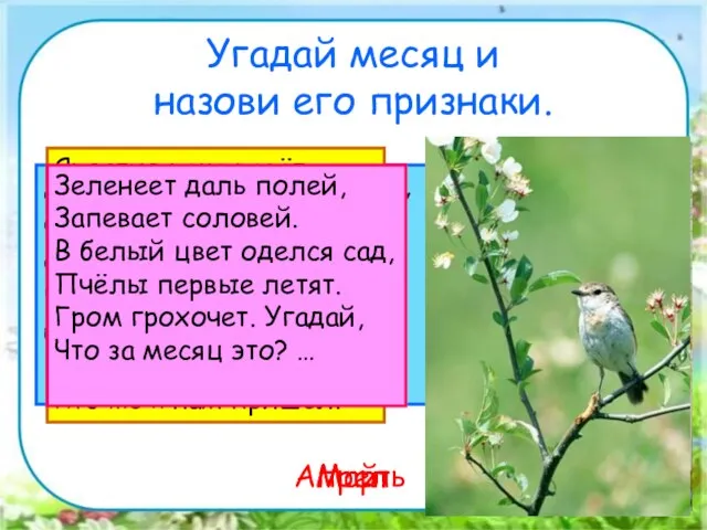 Угадай месяц и назови его признаки. Дует тёплый южный ветер, Солнышко всё