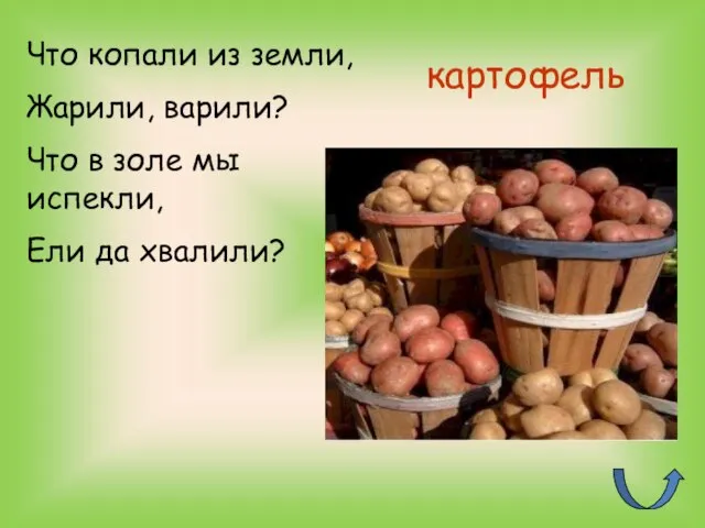 картофель Что копали из земли, Жарили, варили? Что в золе мы испекли, Ели да хвалили?