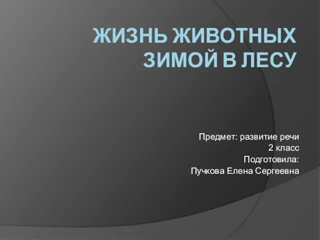 Презентация на тему Жизнь животных зимой в лесу