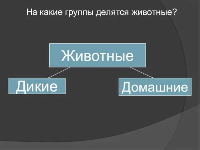 Животные Дикие Домашние На какие группы делятся животные?