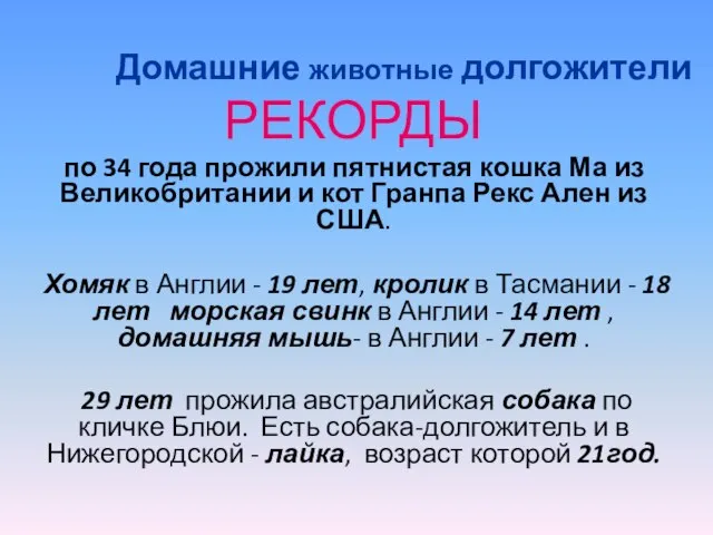 Домашние животные долгожители РЕКОРДЫ по 34 года прожили пятнистая кошка Ма из