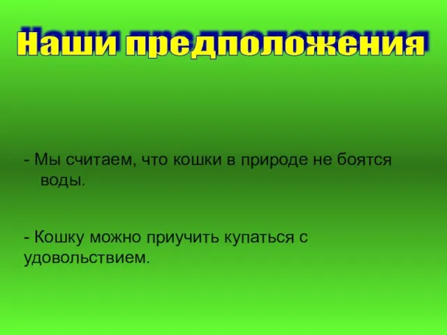 - Мы считаем, что кошки в природе не боятся воды. Наши предположения