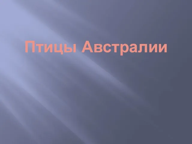 Птицы Австралии