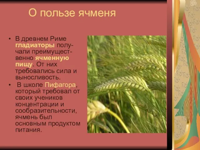 О пользе ячменя В древнем Риме гладиаторы полу-чали преимущест-венно ячменную пищу. От