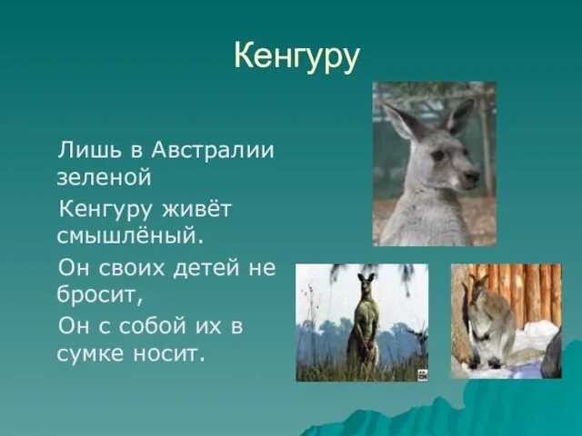 Кенгуру Лишь в Австралии зеленой Кенгуру живёт смышлёный. Он своих детей не