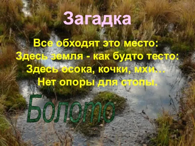 Все обходят это место: Здесь земля - как будто тесто: Здесь осока,