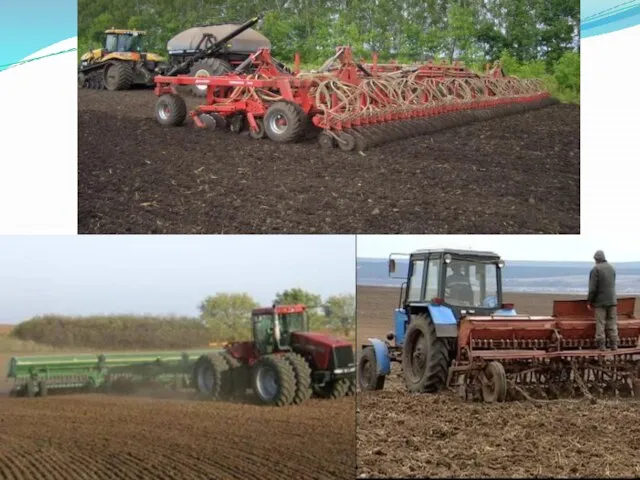 Люди выходят в поля и огороды, начинаются посевы.